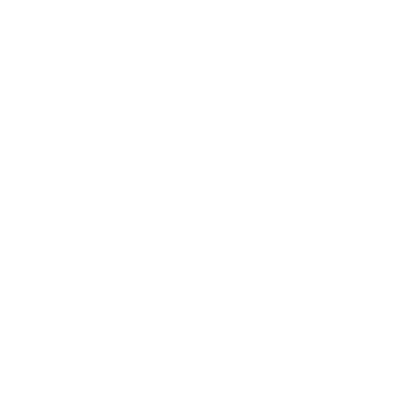 PeerLay Logo