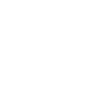 Play Icon