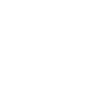 Play Icon