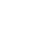 Play Icon