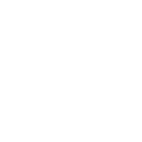 Wallet Icon